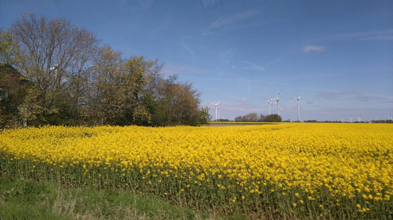 Villa Am Deich Westerdeichstrich Exteriör bild